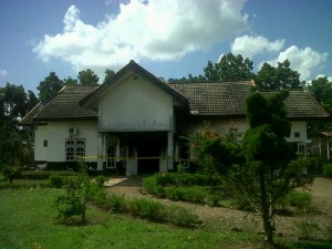 IMG00145-20160326-1348