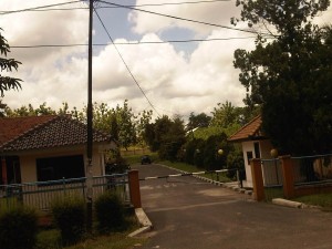 IMG06201-20160404-1207