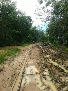 Jalan rusak(1)