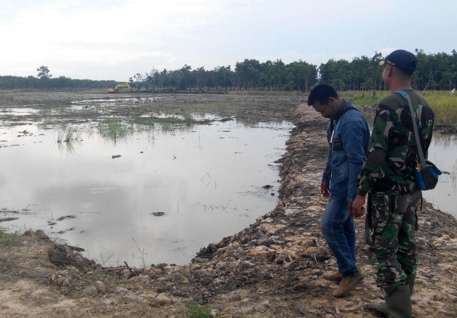 Tinjau