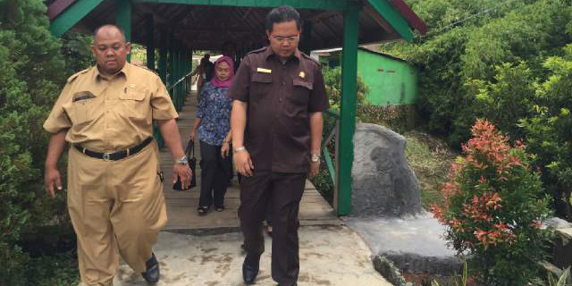 Tinjau