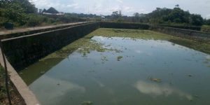 kolam