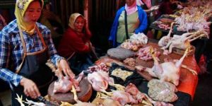 Salah penjual daging ayam di Pasarbaru Pendopo