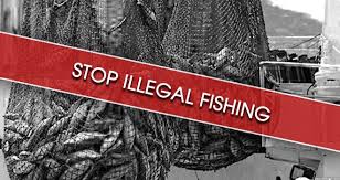 Ileggal Fishing