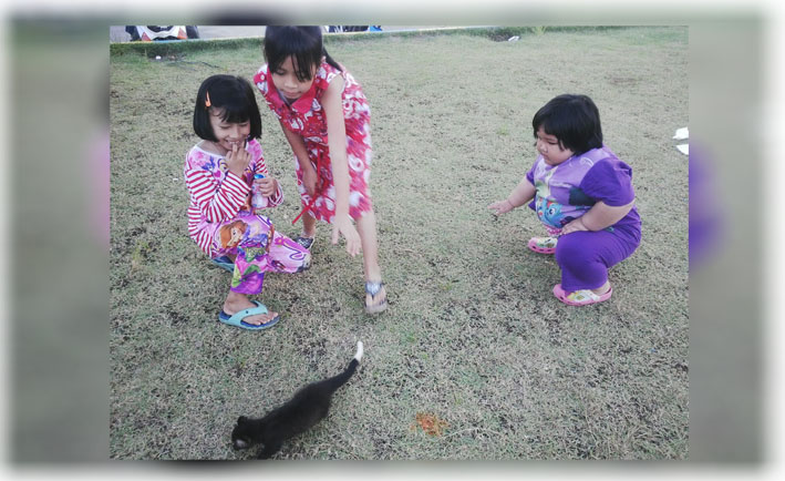 Musang