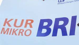 kur-mikro-bri