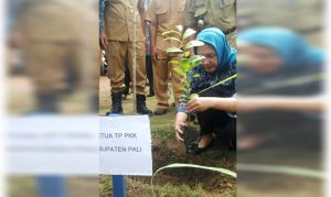 Hj Sri Kustina Amalindo ketika menanam pohon sirsak secara simbolis