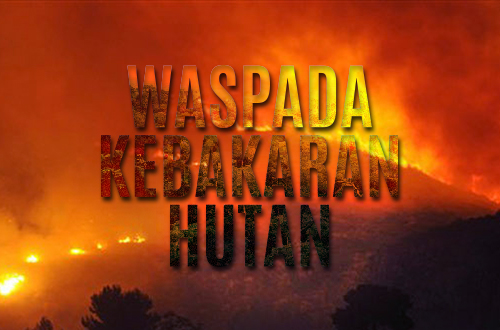 Kebakaran lahan
