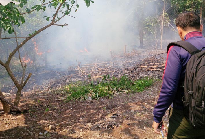 Kebakaran lahan kosong