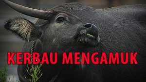 Kerbau