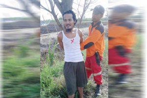 Pelaku Pembakaran Lahan
