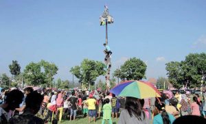 panjat pinang