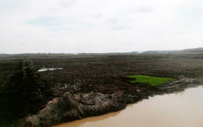 lahan-cetak-sawah-di-desa-p