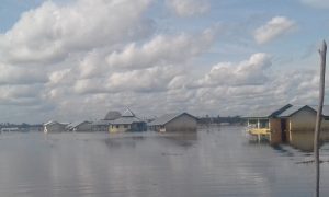 Banjir menggenangi sejumlah rumah warga.