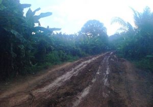 Jalan menuju Desa Bumiayu, Kecamatan Lawang Wetan.
