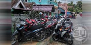 parkir-liar