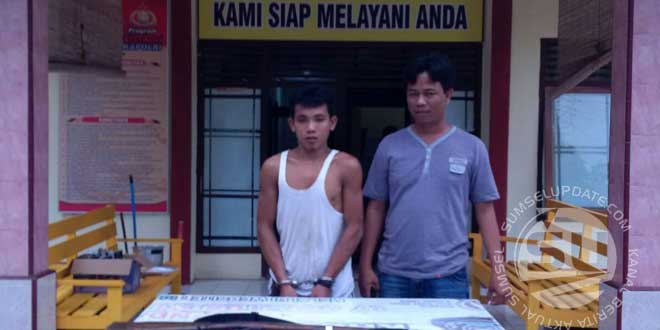 pencuri-sawit