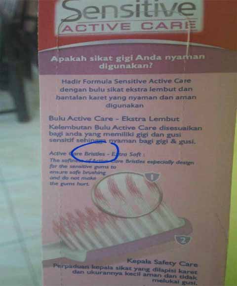 sikat-gigi-bulu-babi