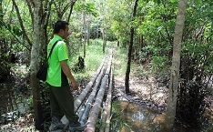 IMG_1032