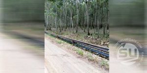 Line-Pipe