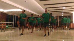 Timnas