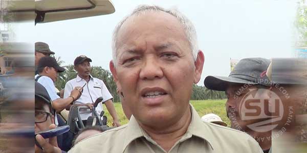 Direktur-Jenderal-Tanaman-