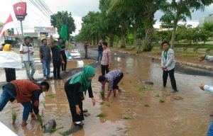 IMG-20170131-WA0027