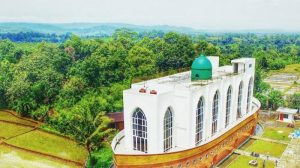 safinatun-nazah-masjid-berbentuk-perahu-di-tengah-sawah_tribun joga