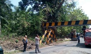 IMG-20170801-WA0036