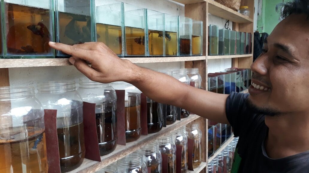 IMG-20170816-WA0019