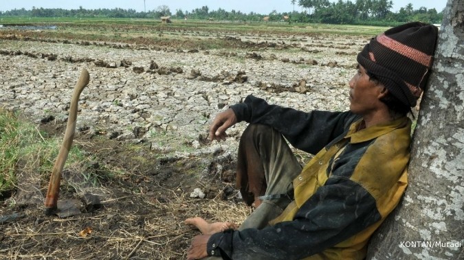 Ilustrasi Sawah