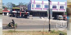 Penghijauan