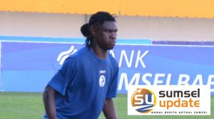 ssu - bio paulin pierre