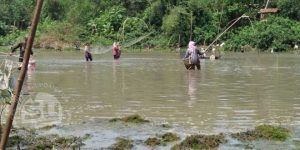 Cari-Ikan