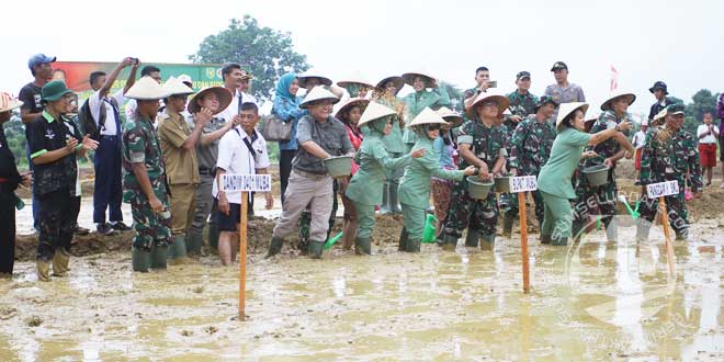 Cetak-Sawah-Baru