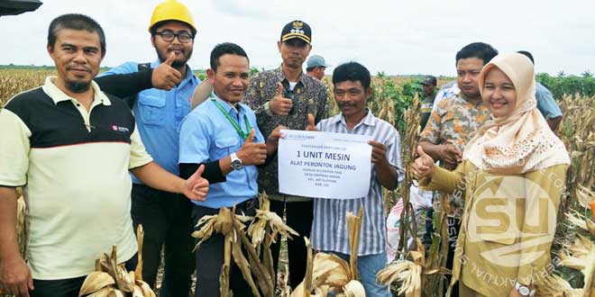 Jagung
