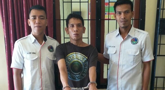 IMG-20171129-WA0007(1)