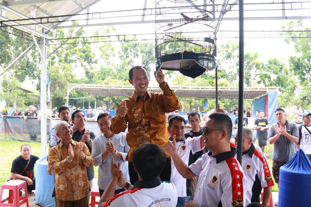 Lomba Burung