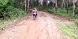 Jalan-Rimba