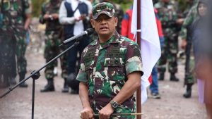 Panglima TNI