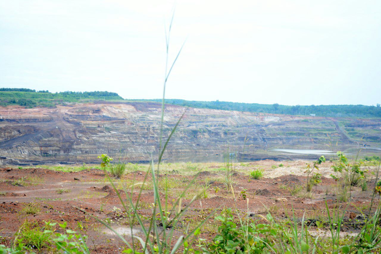 Tambang1
