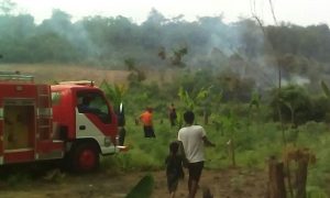 IMG-20180131-WA0046