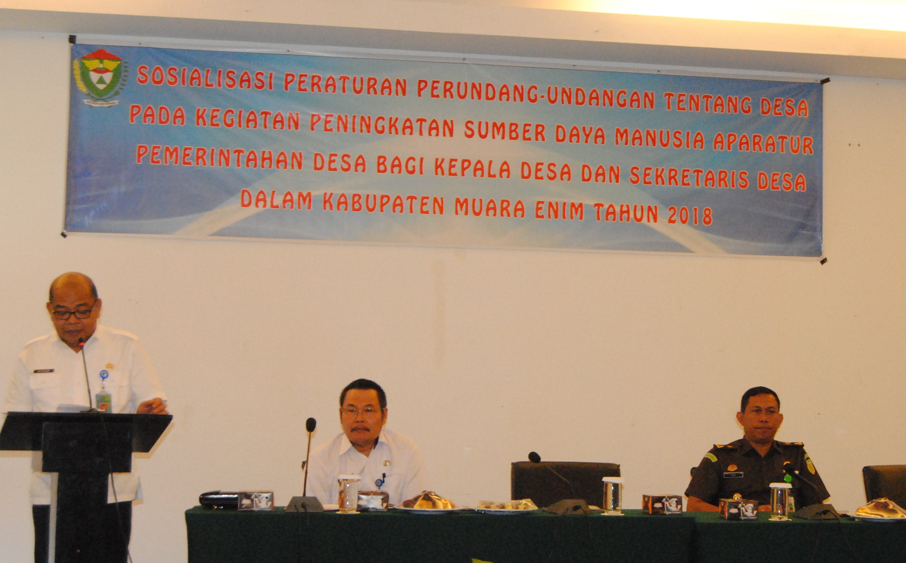 Sosialisasi