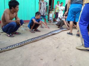 IMG-20180622-WA0032
