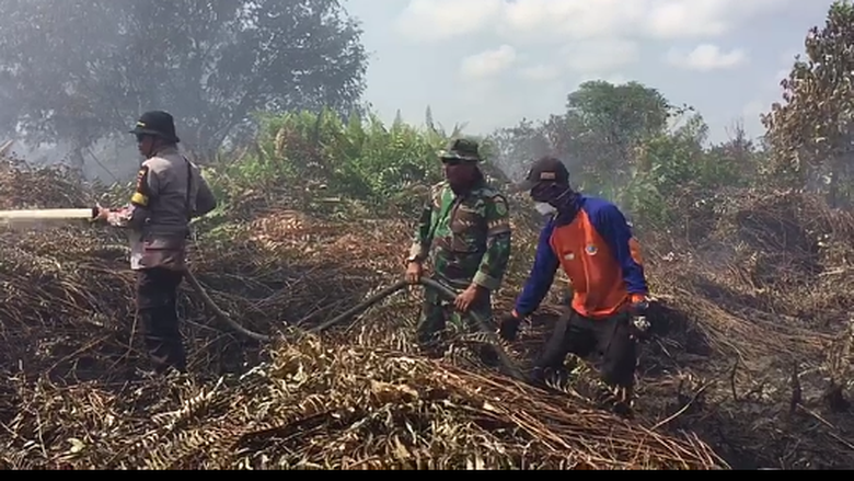 Kebakaran Lahan Gambut