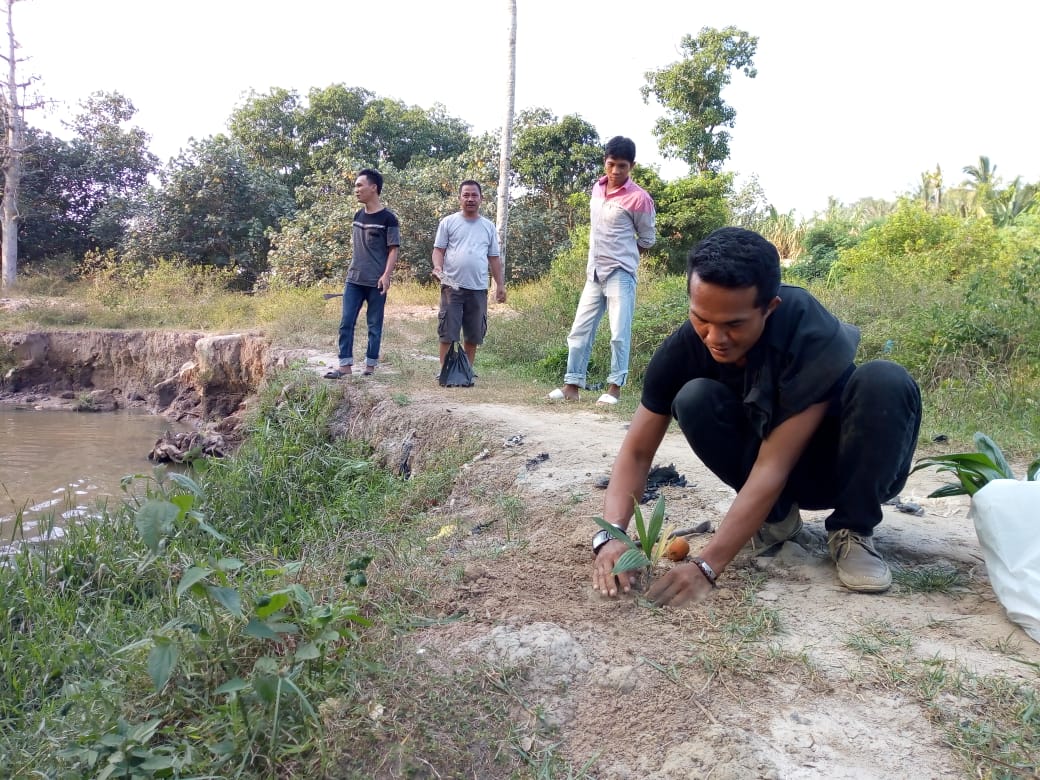 tanam pinang