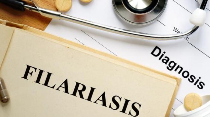 ilustrasi-kaki-gajah-filariasis-diagnosis_20151002_150835