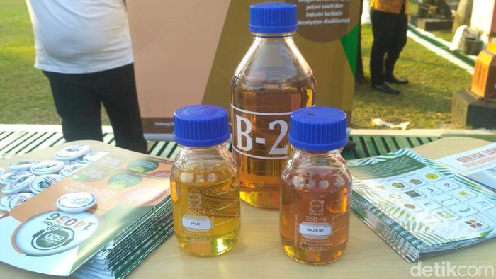 B20 atau Fattu Acid Methyl Ester