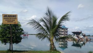 IMG_20181114_135258