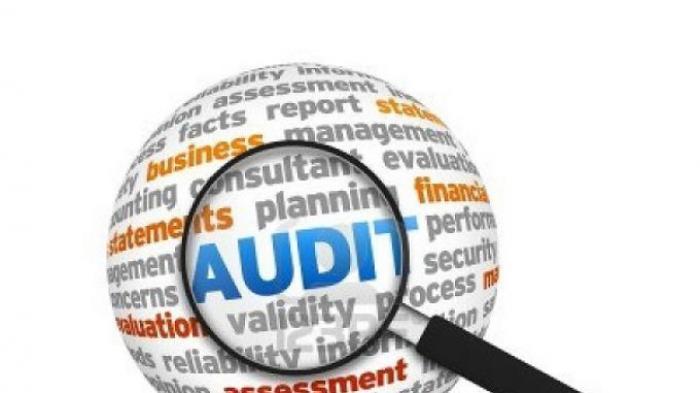 Ilustrasi Audit Keuangan